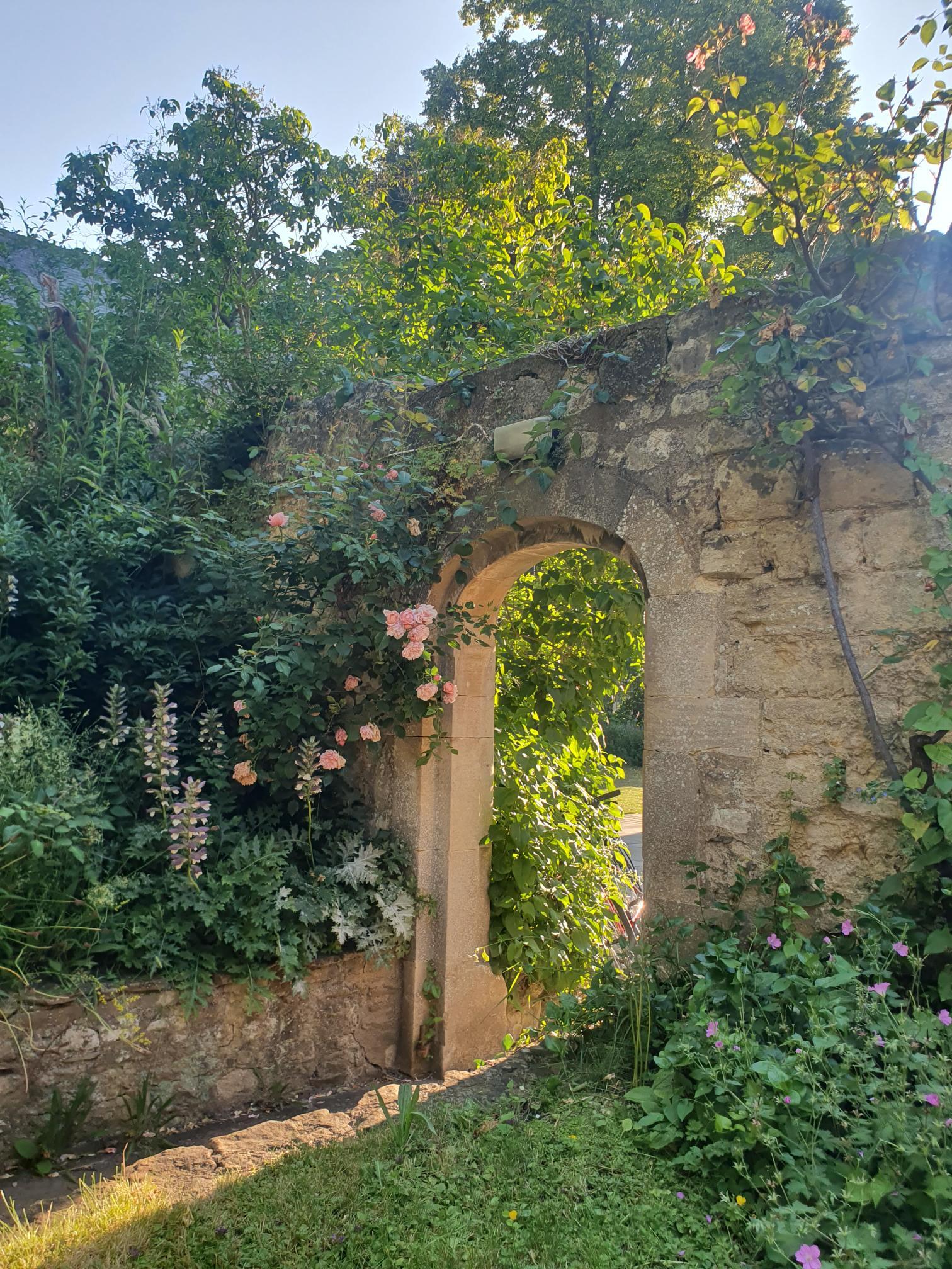Shared image 3